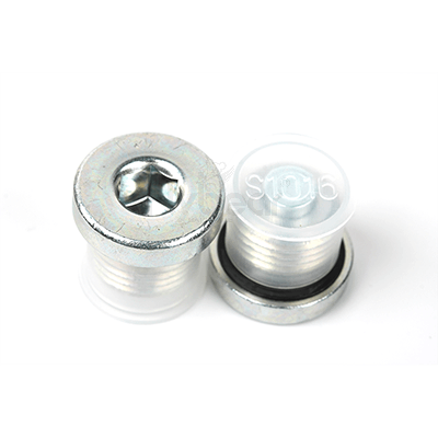 碳鋼環(huán)保藍(lán)白鋅封閉(24/72h)定制內(nèi)六角帶磁鐵堵頭(含ED墊)定制D5747